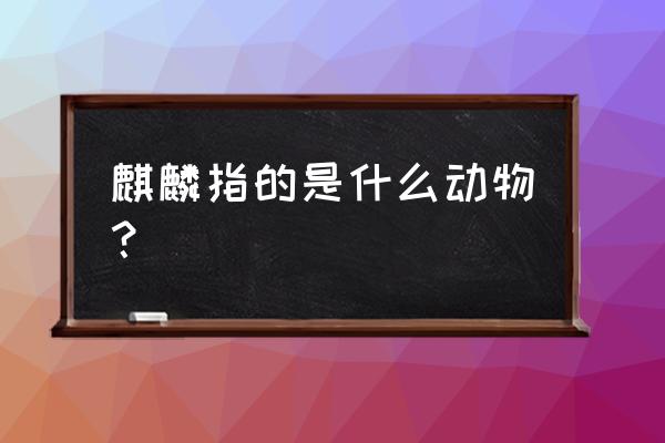 亚洲麒麟动物 麒麟指的是什么动物？