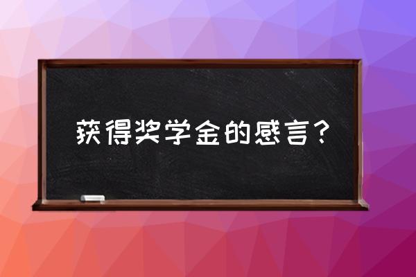 一等奖学金获奖感言 获得奖学金的感言？