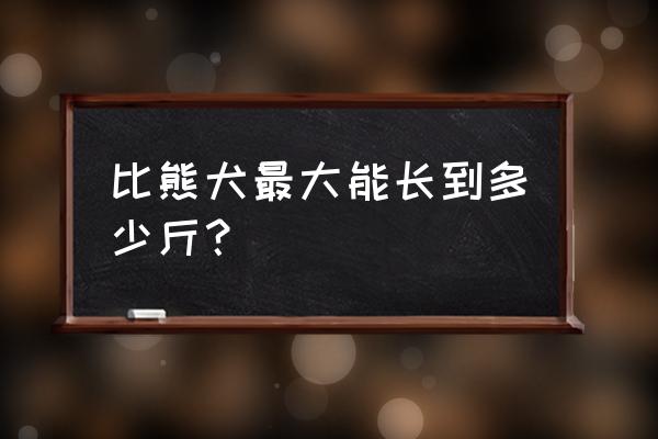 比熊犬能长到多少斤 比熊犬最大能长到多少斤？