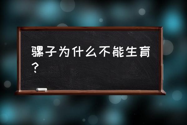 骡子不能生育的传说 骡子为什么不能生育？