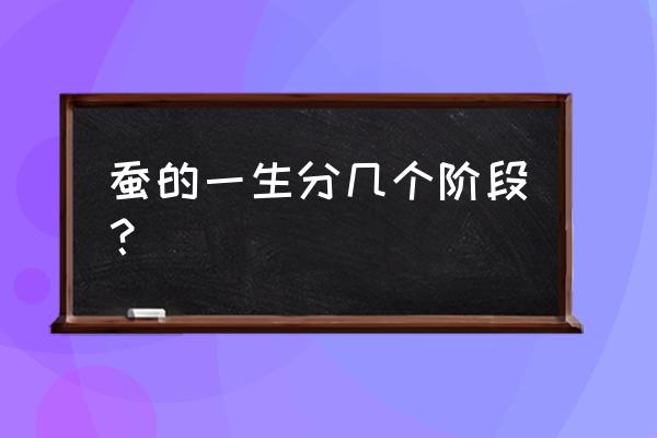 蚕宝宝的生长过程每个阶段 蚕的一生分几个阶段？