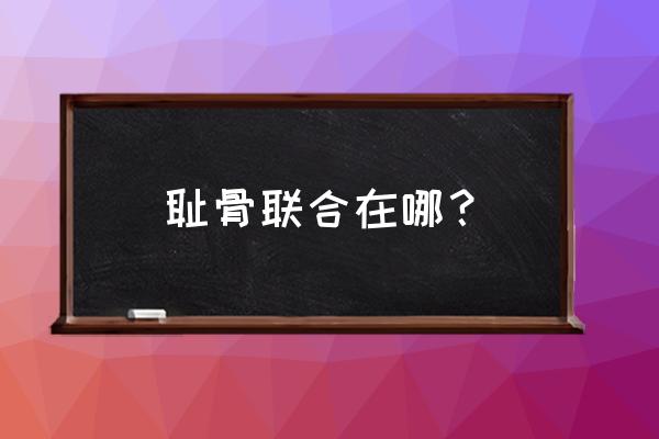 耻骨联合在哪个位置 耻骨联合在哪？