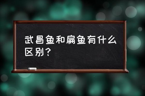 武昌鱼的功效与作用 武昌鱼和扁鱼有什么区别？