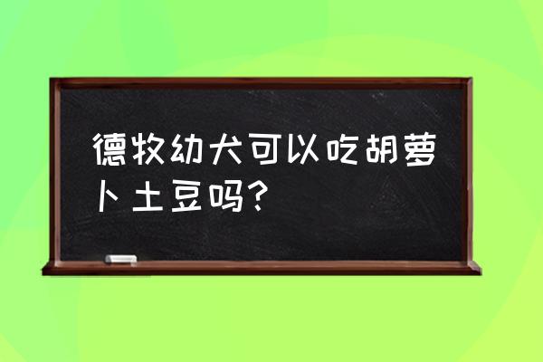 德牧幼犬禁忌 德牧幼犬可以吃胡萝卜土豆吗？