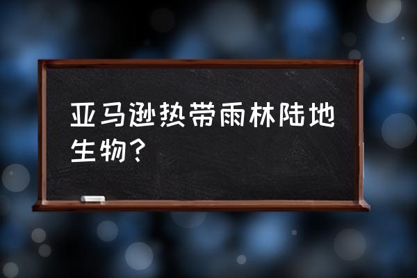 亚马逊森林的动物 亚马逊热带雨林陆地生物？