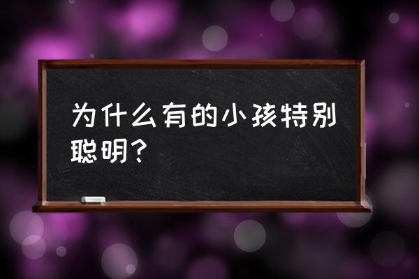 聪明的小孩 为什么有的小孩特别聪明？