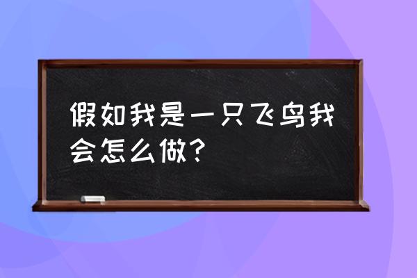 假如我是一只飞鸟 假如我是一只飞鸟我会怎么做？