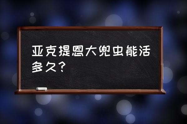 亚克提恩大兜虫vs 亚克提恩大兜虫能活多久？