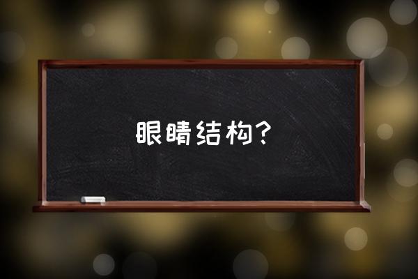 眼球的结构和功能 眼睛结构？