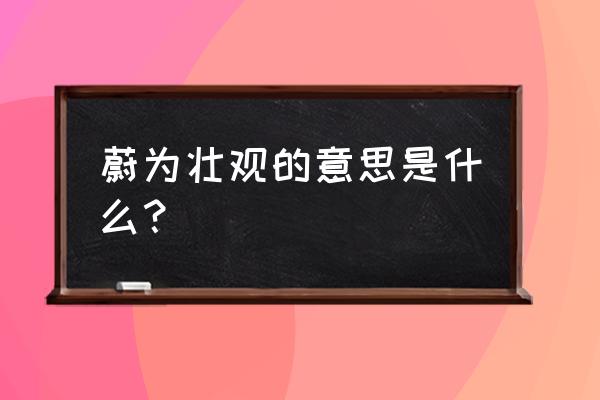 蔚为壮观的意思简写 蔚为壮观的意思是什么？