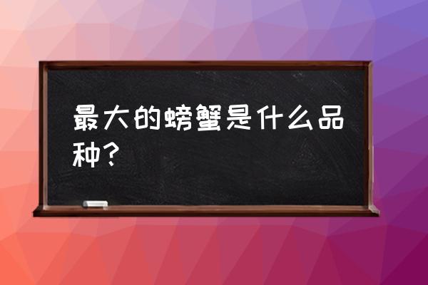 最大的食用螃蟹 最大的螃蟹是什么品种？