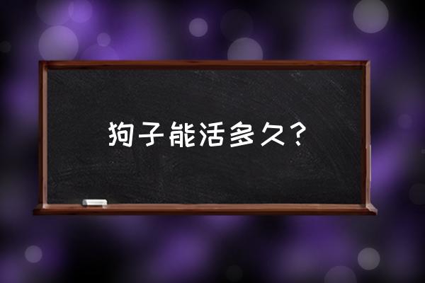 狗最多可以活多久 狗子能活多久？