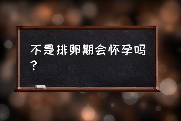 不排卵还能怀孕吗 不是排卵期会怀孕吗？