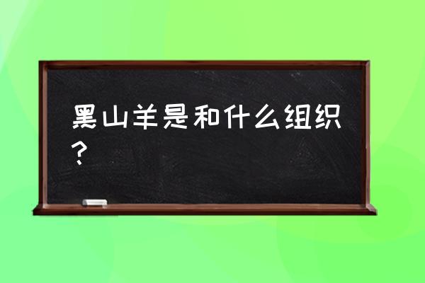 黑山羊组织 黑山羊是和什么组织？