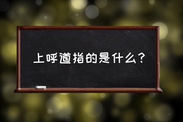 什么称为上呼吸道 上呼道指的是什么？