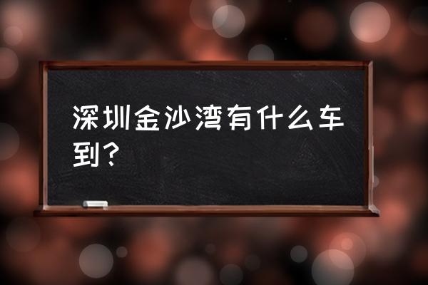 2020深圳金沙湾 深圳金沙湾有什么车到？