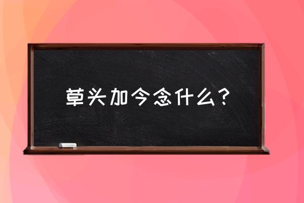 草字头加今 草头加今念什么？