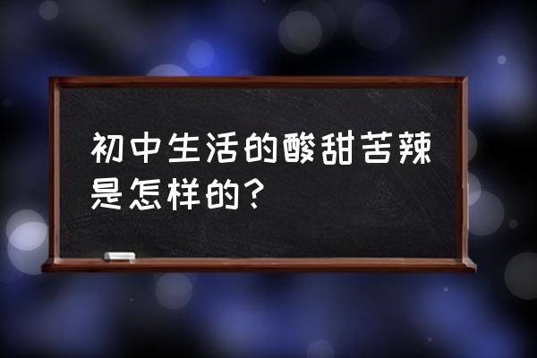 初中的酸甜苦辣800字 初中生活的酸甜苦辣是怎样的？