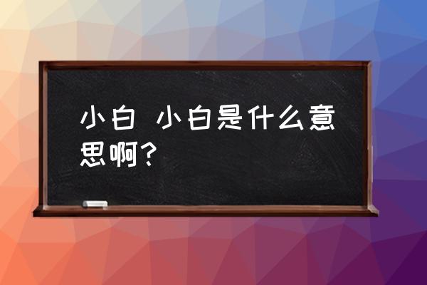 小白加小白叫什么 小白 小白是什么意思啊？