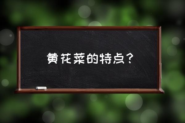 黄花菜的营养价值及功效 黄花菜的特点？