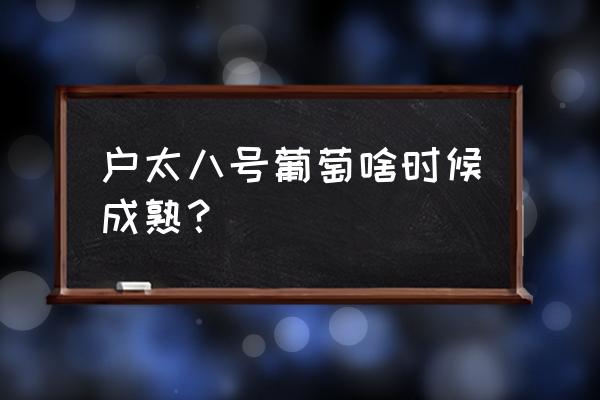 户太八号一般几月 户太八号葡萄啥时候成熟？