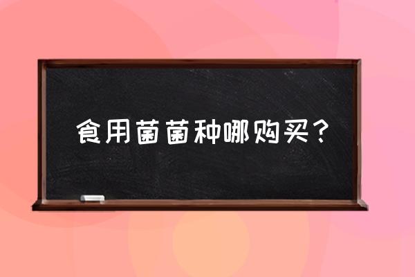 菌种保藏单位 食用菌菌种哪购买？