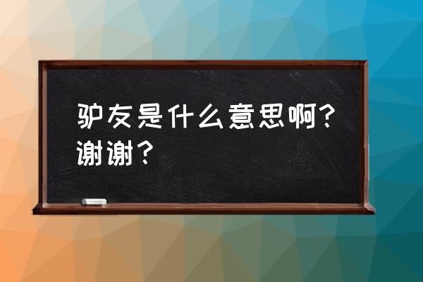 驴友怎么解释 驴友是什么意思啊？谢谢？