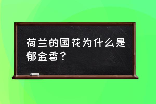 荷兰郁金香为什么出名 荷兰的国花为什么是郁金香？