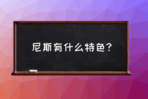 法国尼斯最著名的是什么 尼斯有什么特色？