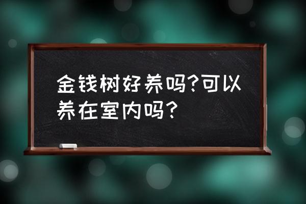 金钱树适合在室内养吗 金钱树好养吗?可以养在室内吗？