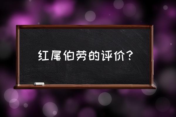 红尾伯劳会几种叫声 红尾伯劳的评价？