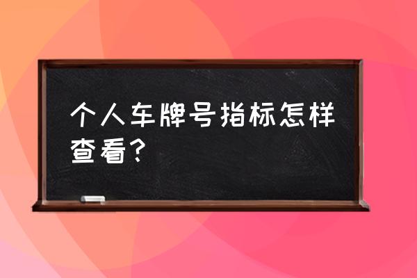 个人小客车指标查询 个人车牌号指标怎样查看？