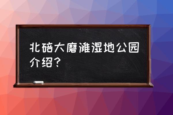 重庆主城湿地公园 北碚大磨滩湿地公园介绍？