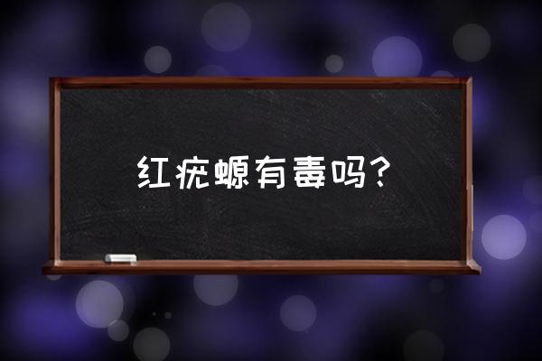 高原红瘰疣螈多少一克 红疣螈有毒吗？