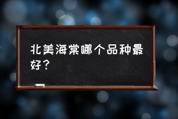 北美海棠哪个品种最好 北美海棠哪个品种最好？