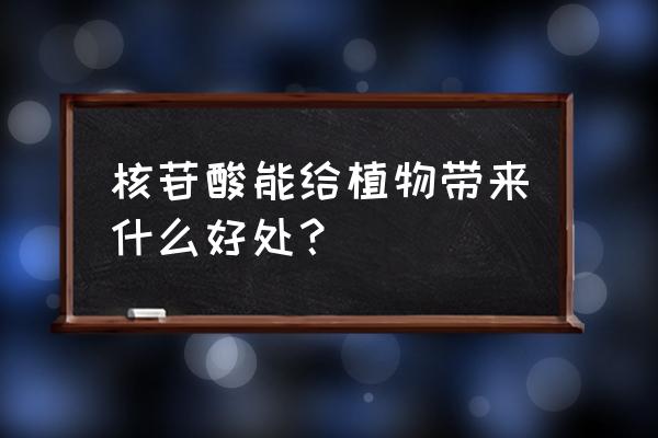 核苷酸的作用与功效 核苷酸能给植物带来什么好处？