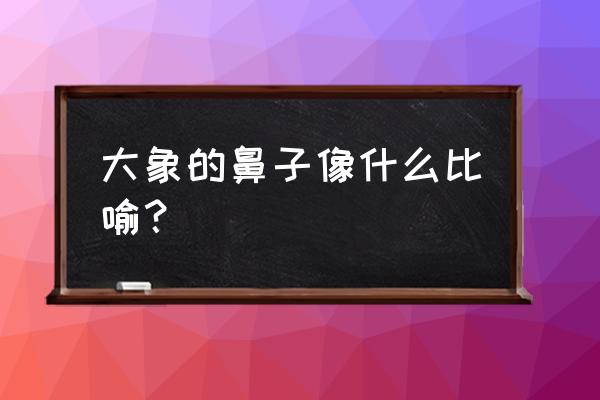 大象的鼻子像什么比喻 大象的鼻子像什么比喻？