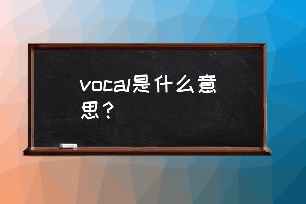 vocal是什么意思中文 vocal是什么意思？