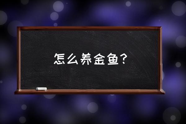 养金鱼小窍门 怎么养金鱼？