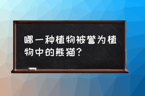 被誉为植物中的熊猫 哪一种植物被誉为植物中的熊猫？