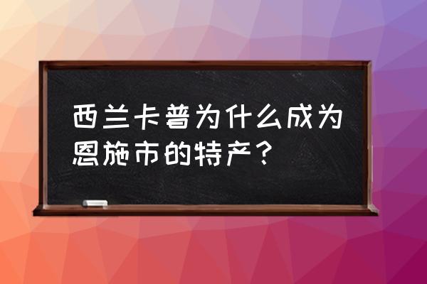 恩施西兰卡普 西兰卡普为什么成为恩施市的特产？