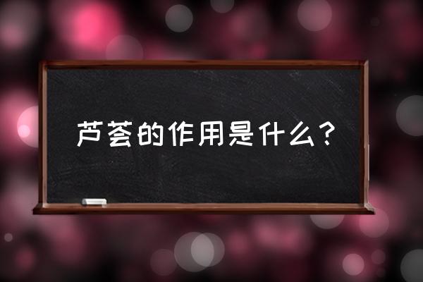 芦荟有什么用处 芦荟的作用是什么？