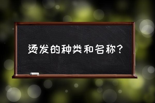 烫发的种类名称大全 烫发的种类和名称？