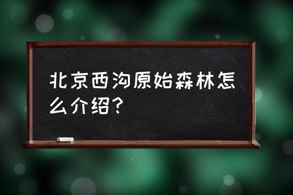 北京西沟原始森林路线 北京西沟原始森林怎么介绍？