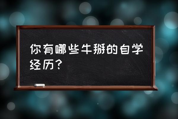 我和她的研修日志带字幕 你有哪些牛掰的自学经历？