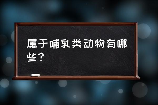 哺乳类动物有哪些种类 属于哺乳类动物有哪些？