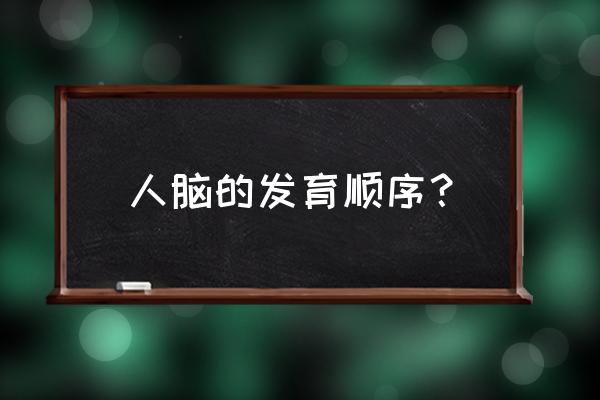 大脑发育情况 人脑的发育顺序？