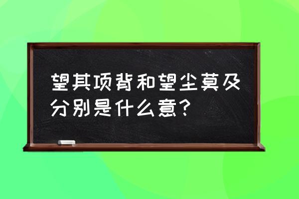 望其项背打一生肖 望其项背和望尘莫及分别是什么意？