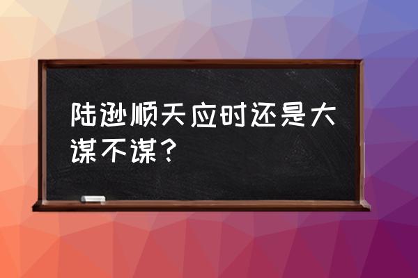 陆逊的秘密 陆逊顺天应时还是大谋不谋？