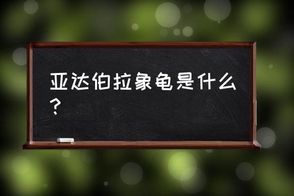 拉伯拉象龟 亚达伯拉象龟是什么？